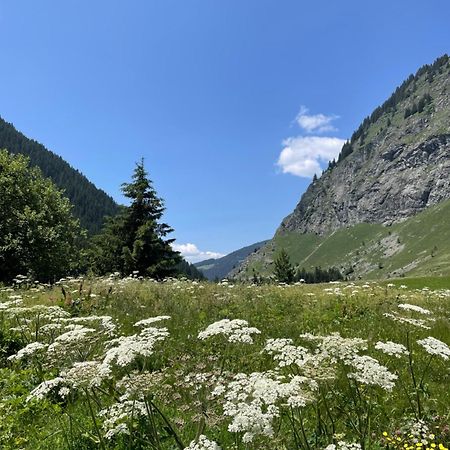 T2 Vue Sur Le Parc De La Vanoise La Plagne Luaran gambar