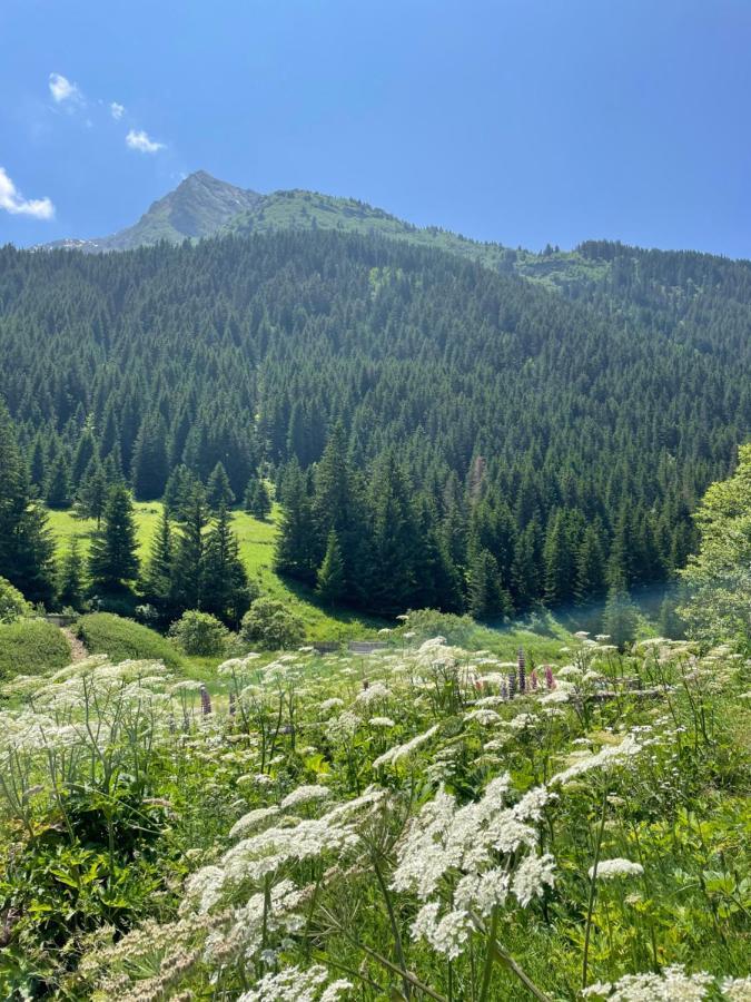 T2 Vue Sur Le Parc De La Vanoise La Plagne Luaran gambar